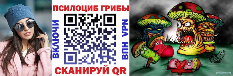 Псилоцибиновые грибы Psilocybe как найти нарко площадка состав Углич